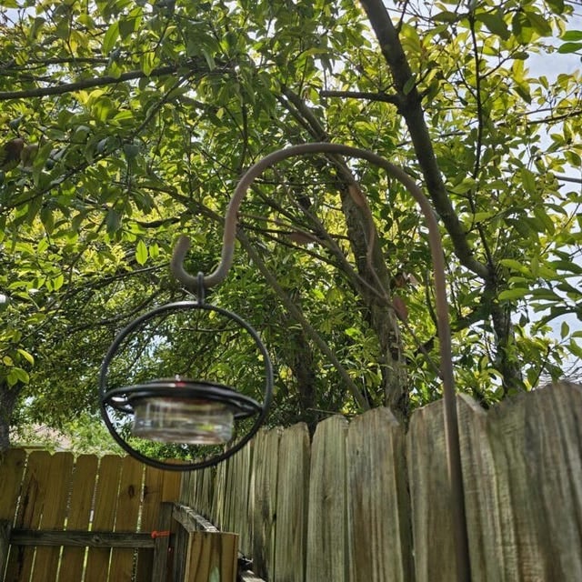 Hummble Slim Hummingbird Feeder