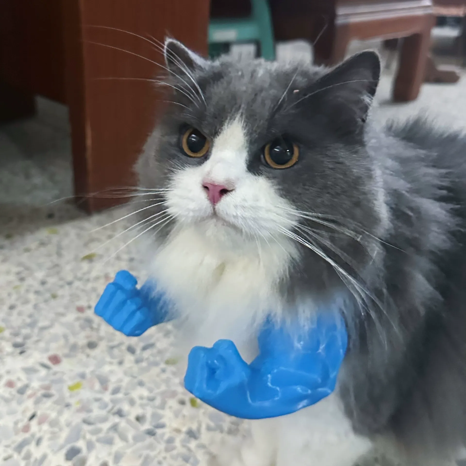 💥3D Printed Spoof Cat Hanging Neck Muscle Arm