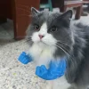 💥3D Printed Spoof Cat Hanging Neck Muscle Arm
