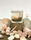 Oceanic Sea Cube Gel Candle