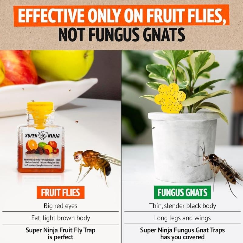 🎁TikTok Last Day Sale - 70% OFF🔥Super Ninja Fruit Fly Traps- safe for children and pets
