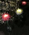 🔥Hot Sale-50%OFF -Chrysanthemum Solar Garden Stake LED