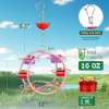 🔥Last Day Promotion 70% OFF✨Hummingbird Feeder