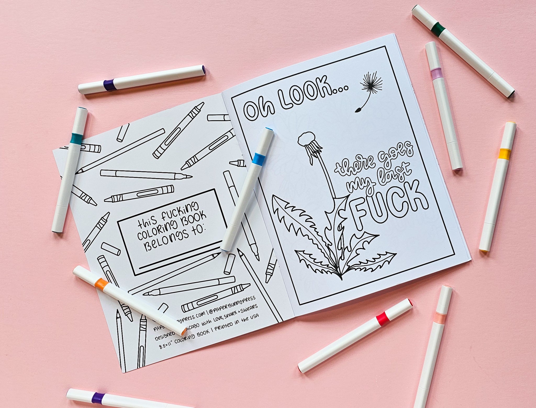 🌈A Snarky Coloring Book | Colorful Chaos