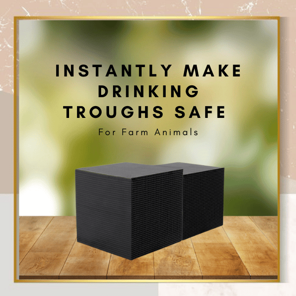 (🔥Last Day-Save 70% OFF)Aquarium Water Purifier Cube(Buy 2 Free Shipping)