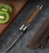 Professional Folding Knife •