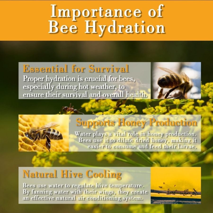 🎁TikTok Last Day Sale - 70% OFF🎉Floating Bee Watering Station🐝