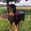 🐶Wiener Dog - Mailbox 📫