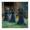 🎃2025 Halloween Sale 59% OFF🧙‍♀️✨Lighted Halloween WitchStakes