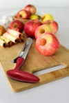 (🔥Hot Summer Sale -40% OFF)Fruit Corer(Buy 2 Get 1 Free )