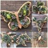 🎁2023-Christmas Hot Sale🎁Animal Succulent Garden Arrangement & BUY 2 FREE SHIPPING