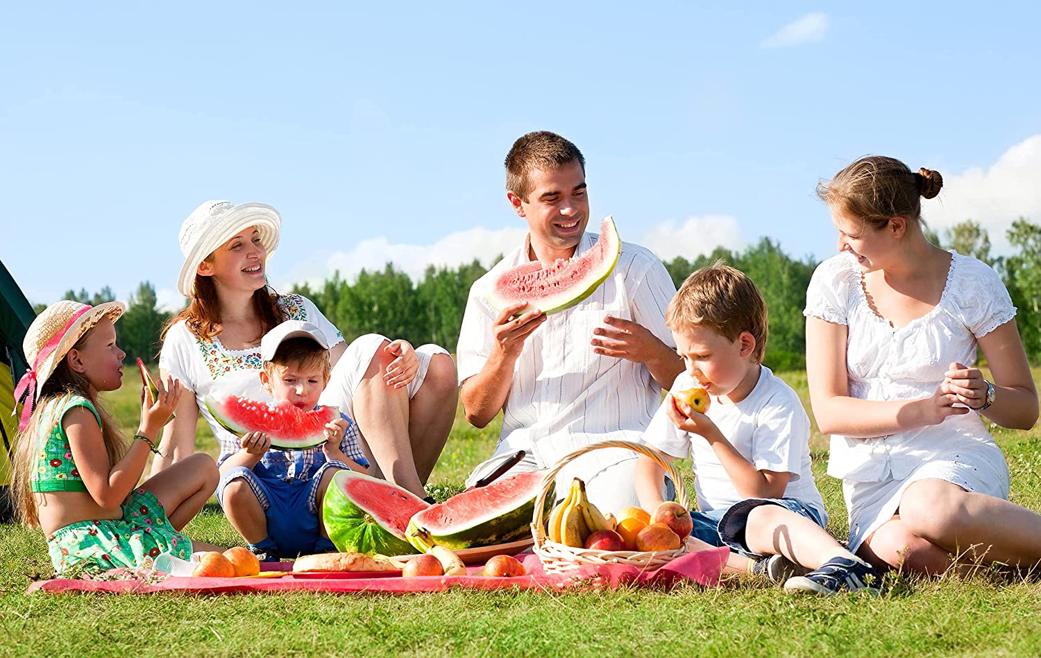 Last Day Promotion 48% OFF - Waterproof Picnic Blankets Extra Large(BUY 2 FREE SHIPPING NOW)