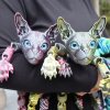 🎁TikTok Last Day Sale - 70% OFF🔥23cm/9.06inch 3D Printed Articulated Cat Figure