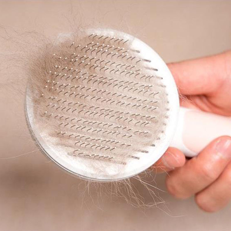 🔥(Last Day Promotion - Save 66% OFF) Self-Cleaning cat Brush  !!!!-🔥Buy More,Save More🔥