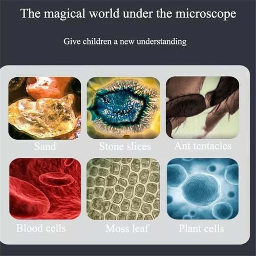 🎁2025 New Year Hot Sale🎁🔥 49% Off - Kid's Portable Pocket Microscope