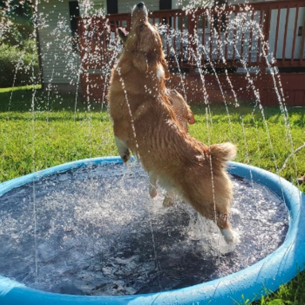 (🔥SUMMER HOT SALE-48% OFF) Dog Splash Sprinkler Pad(BUY 2 FREE SHIPPING NOW!)