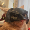 (🎃Halloween Hot Sale - 49% OFF) 🐱🦸‍♂️Bat Cat Avenger Mask