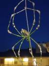 Garden Spider Ornament