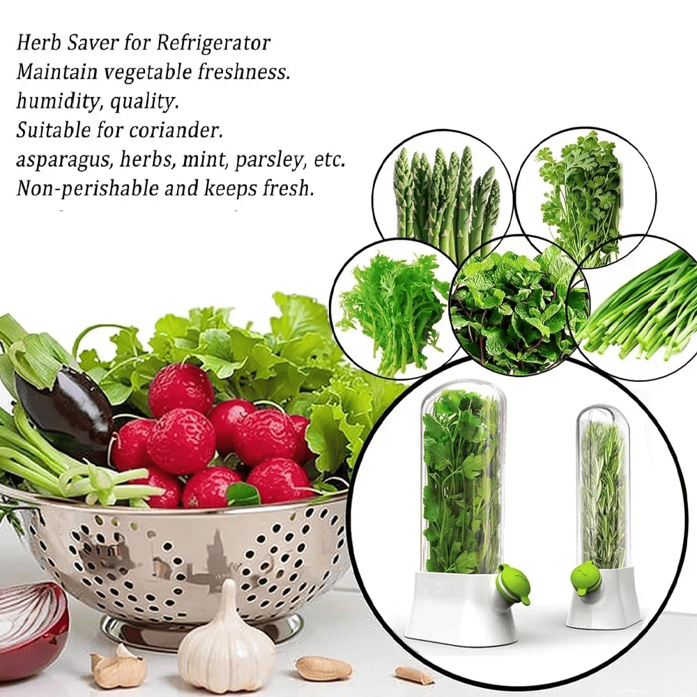 🔥Last Day Promotion 70% OFF🔥Cilantro Saver Container