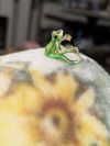 🌿Spring Hot Sale 49% OFF💥 Mini Green Tree Frog Ring