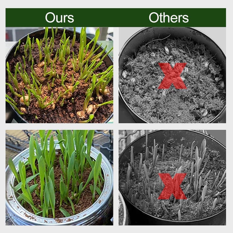 (🔥Last Day Promotion 50% OFF) Organic Coconut Coir for Plants - Buy 2 Get 1 Free