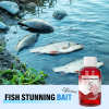 💥LAST DAY SALE 50% OFF💥Highly Effective Fish Attractant⚡BUY 2 GET 1 FREE
