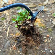 🎉SPRING SAVINGS💥New Weeding Artifact Uprooting Weeding Tool