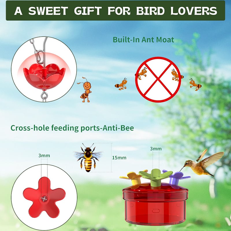 🔥Last Day Promotion 70% OFF✨Hummingbird Feeder