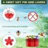 🔥Last Day Promotion 70% OFF✨Hummingbird Feeder