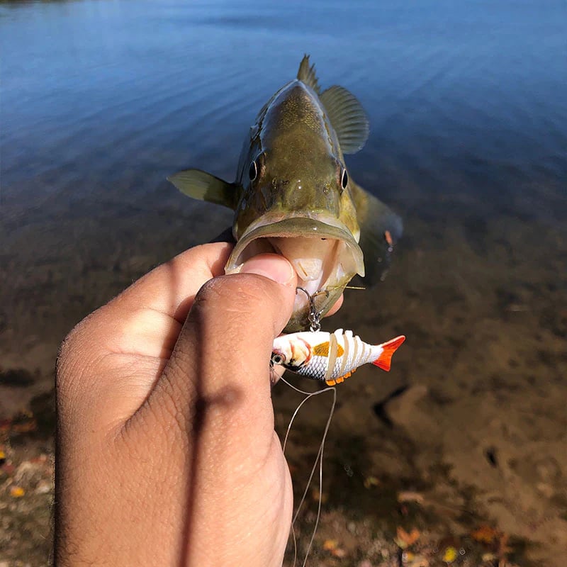 🔥🎣 Micro Jointed Swimbait