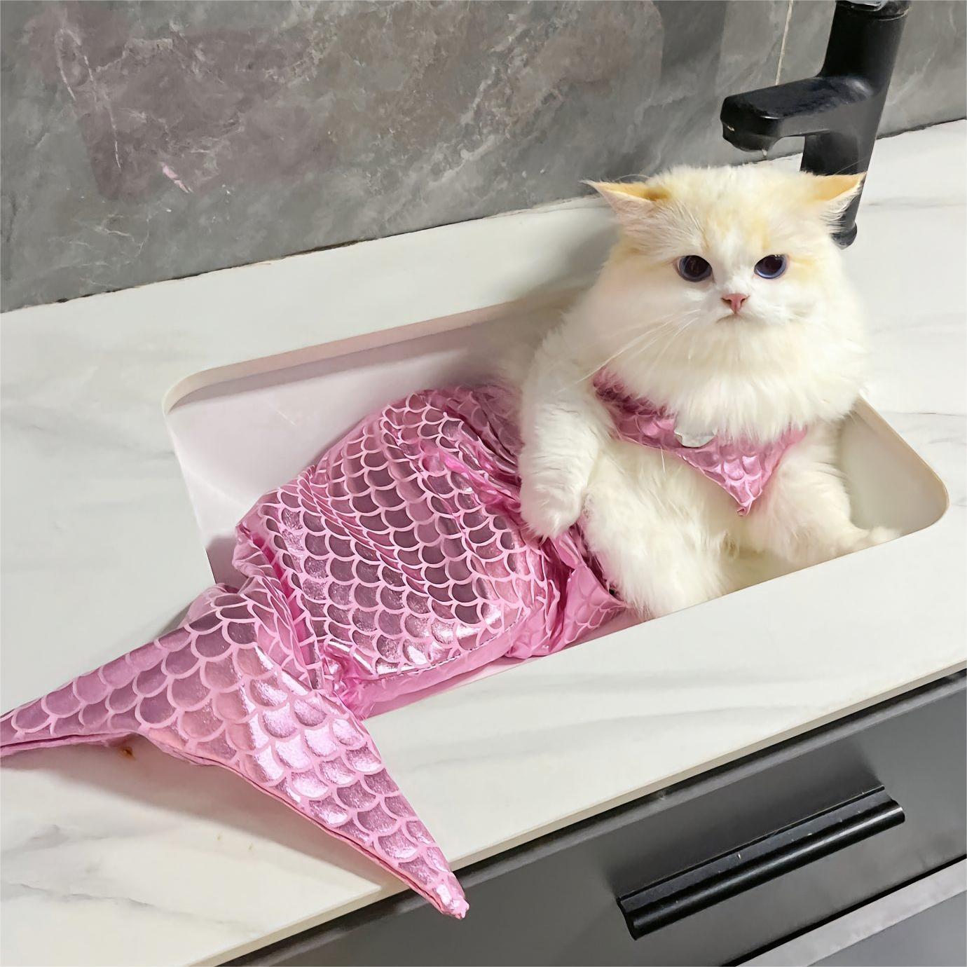 😺Hot Sale 50% OFF-🧜‍♀️Mermaid Bikini Pet Set，BUY 2 GET 1 FREE