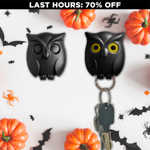 Spooky Night Owl Key Holder (70% OFF)