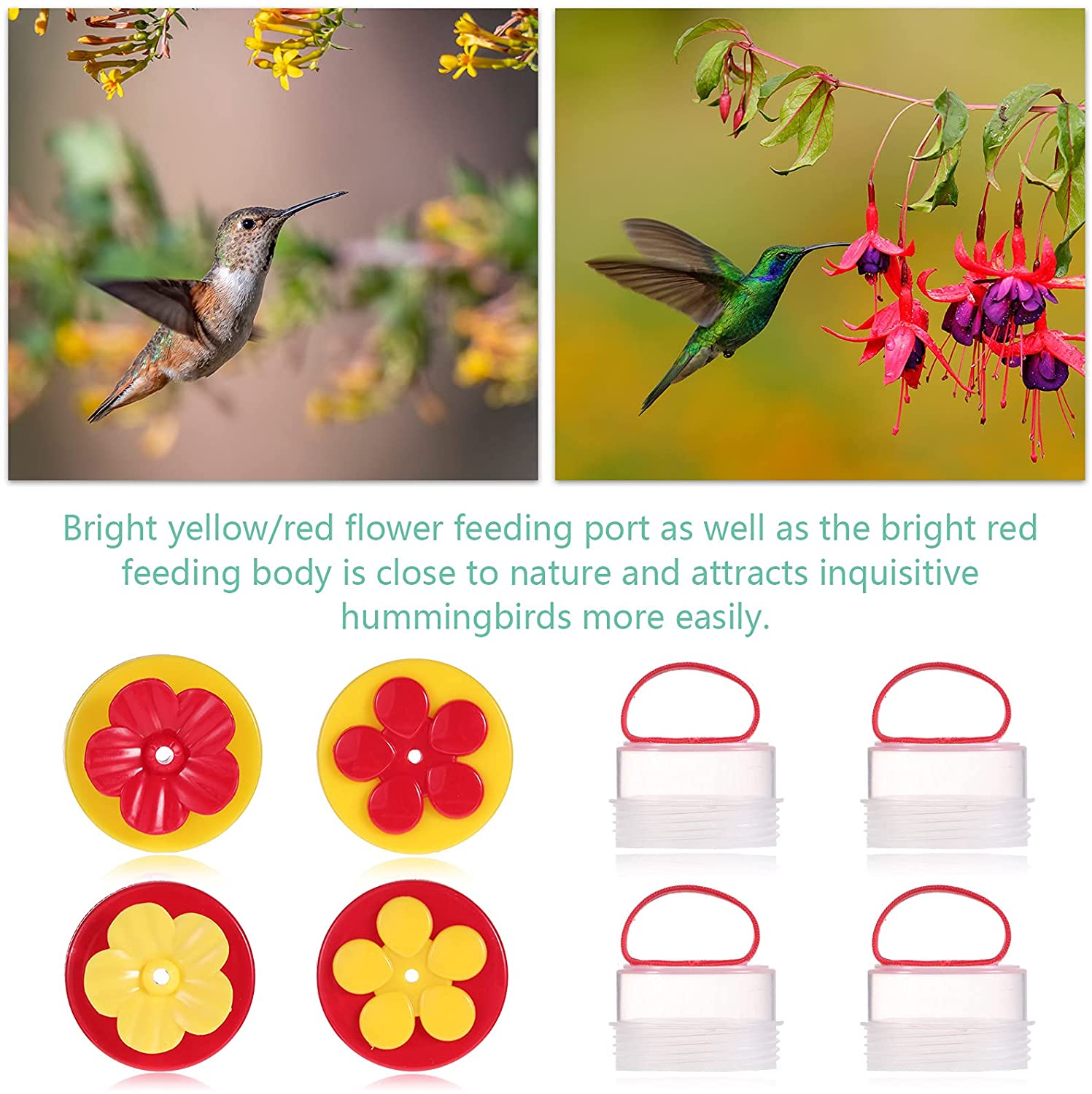 (💗Mother's Day Gift-40% OFF) Hummingbird Hand Feeder-BUY 5 GET 3 FREE&FREE SHIPPING