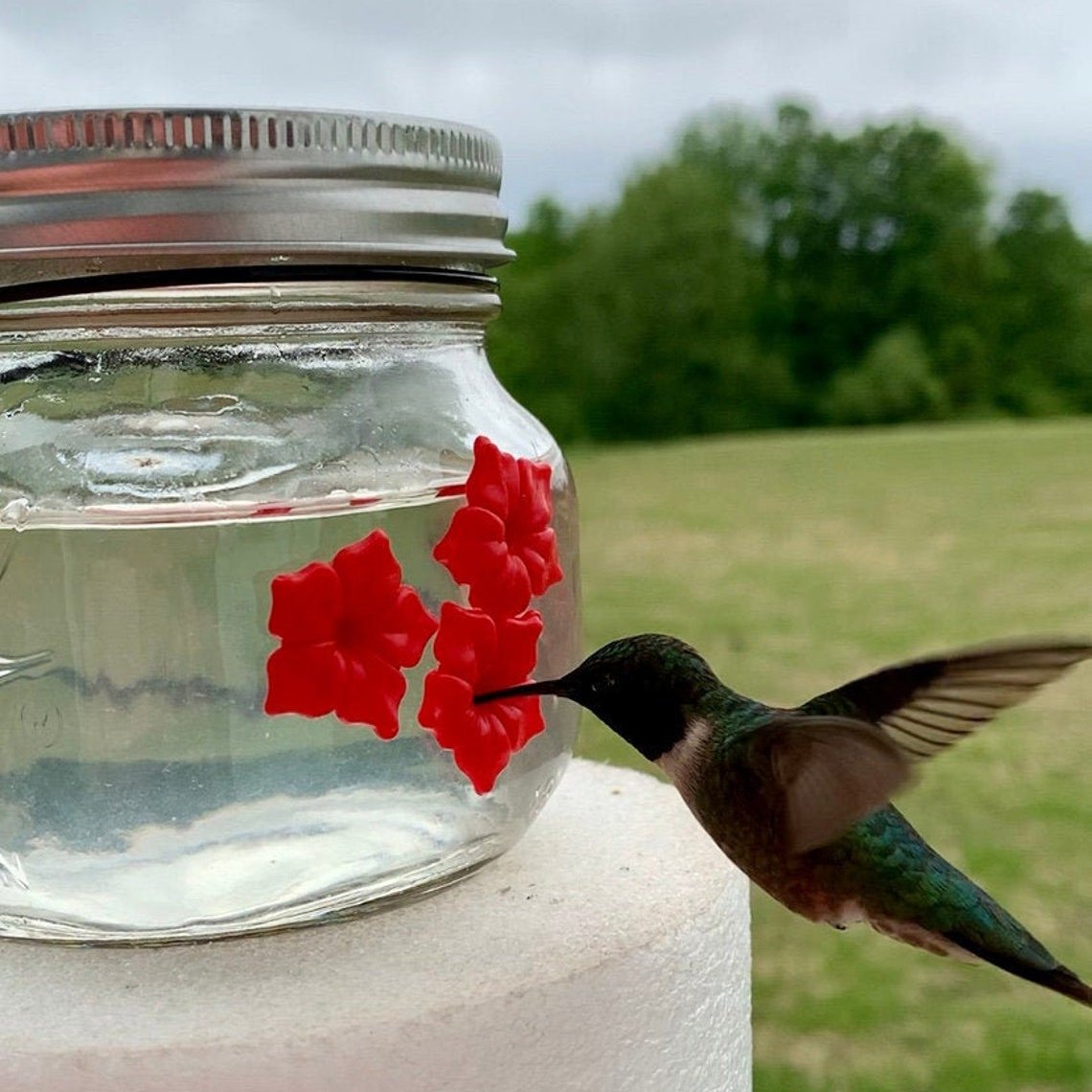 💗Mother's Day Gift--Beautiful Mason Jar Hummingbird Feeder w/Three Ports