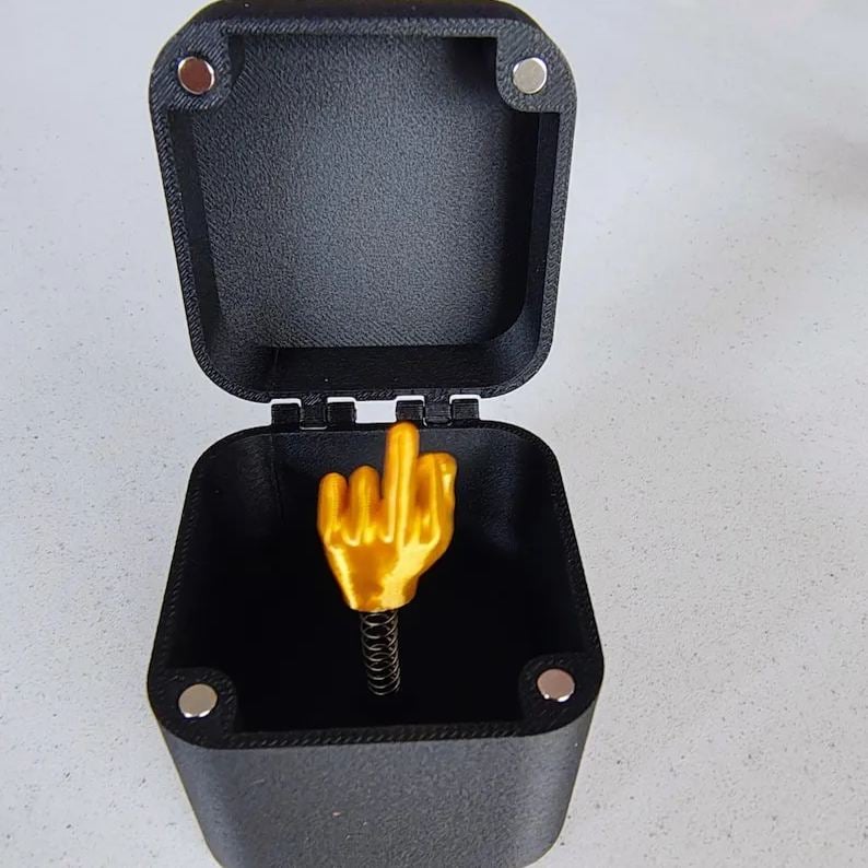 🔥Last Day Promotion - 60% OFF🎁💍Middle Finger in a Box🤣