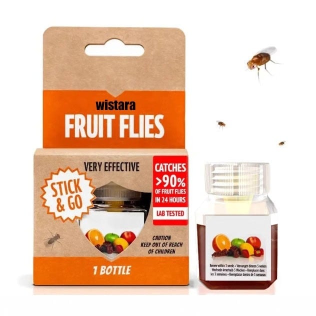 🎁TikTok Last Day Sale - 70% OFF🔥Super Ninja Fruit Fly Traps- safe for children and pets
