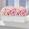 🌸 Spring Summer Home Decoration - 🌿 Fake Silk Colorful Morning Glory