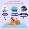 ⏰LAST DAY SALE 50% OFF🐾❄️Dog Cooling Mat (4x more effective)
