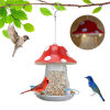 🔥Hot Sale 50% Off❤️Red Mushroom Solar Bird Feeders