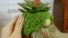 Christmas Green Simulated Elf Succulent No Face Doll