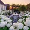 🔥Last Day 70% OFF🔥-Outdoor Artificial Hydrangea Flowers💐
