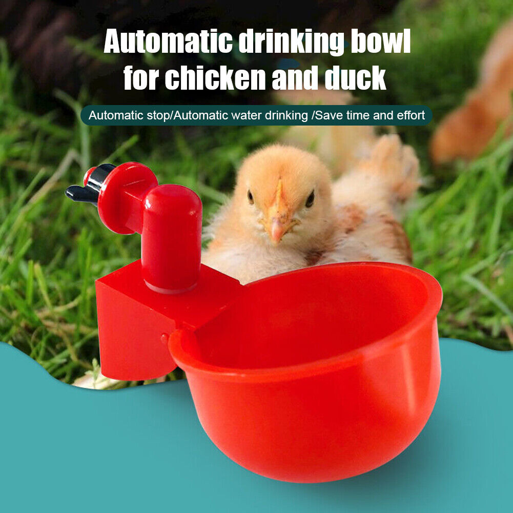 (🌲Early Christmas Sale- SAVE 48% OFF)Automatic Poultry Water Bowl 5Pcs/set--buy 2 get 1 free（15pcs）
