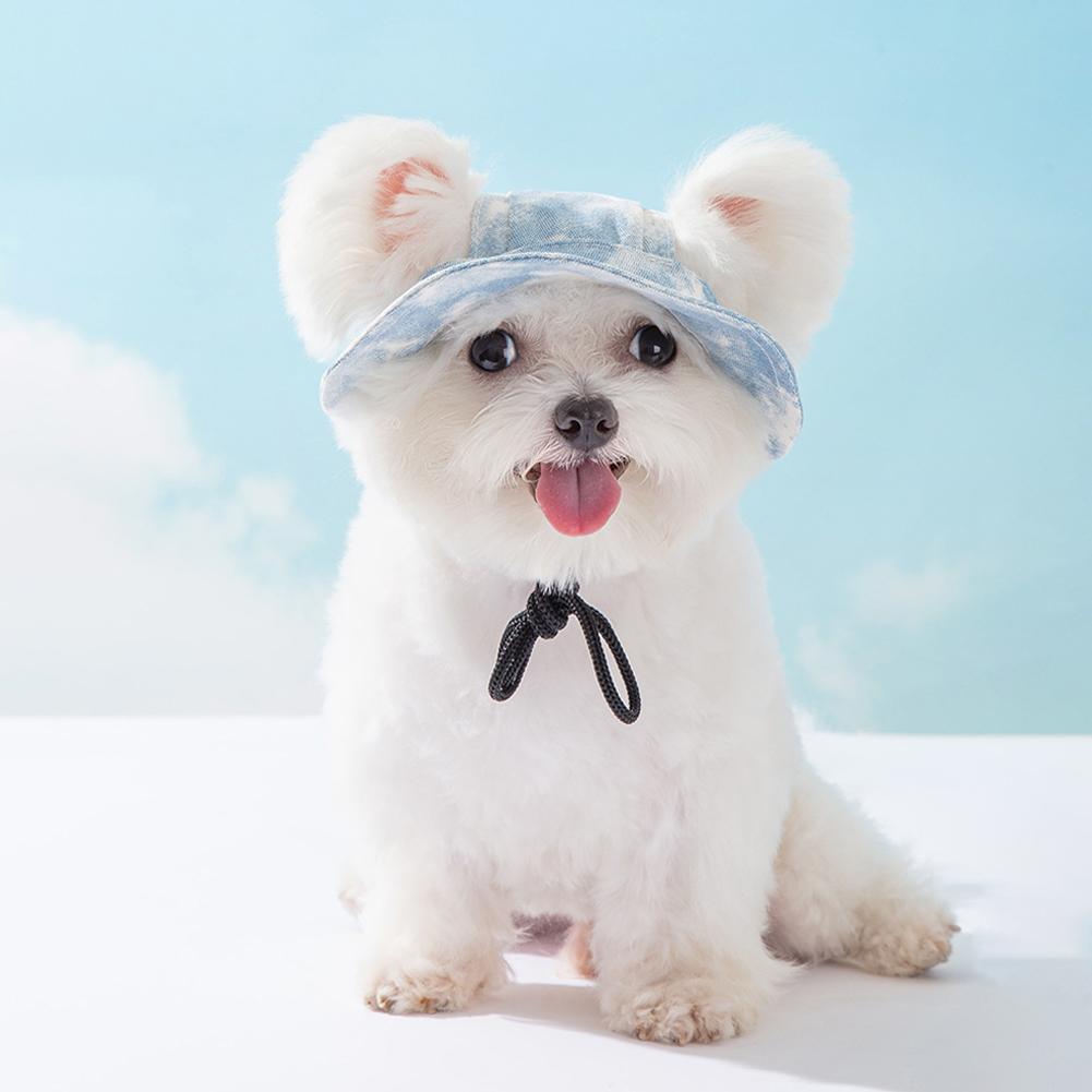 <strong>⏱️Last Day 70% OFF</strong> - Pet Adjustable Bucket Hat <strong>(Buy 2 Get 1 Free)</strong>