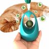 Egg Shape Cat Toy With Catnip