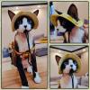 🔥Hot Sale 49% OFF🔥 - Pet hat with Ear Holes Sunscreen Baseball Cap