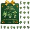 🔥Christmas Sales 50% OFF🎄-2025 Plant Christmas Advent Calendar🌿