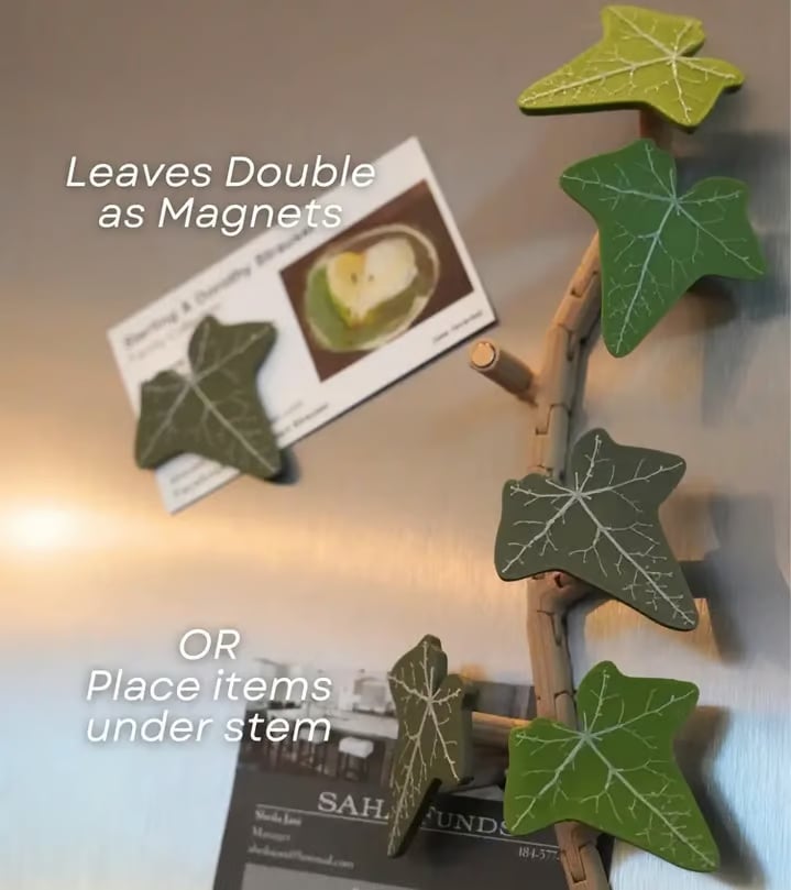 English Ivy Fridge Magnet with Articulating Vine