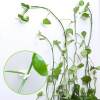 (New Year Sale-Save 50% OFF) Plant Climbing Wall Fixture-(10PCS/50PCS)