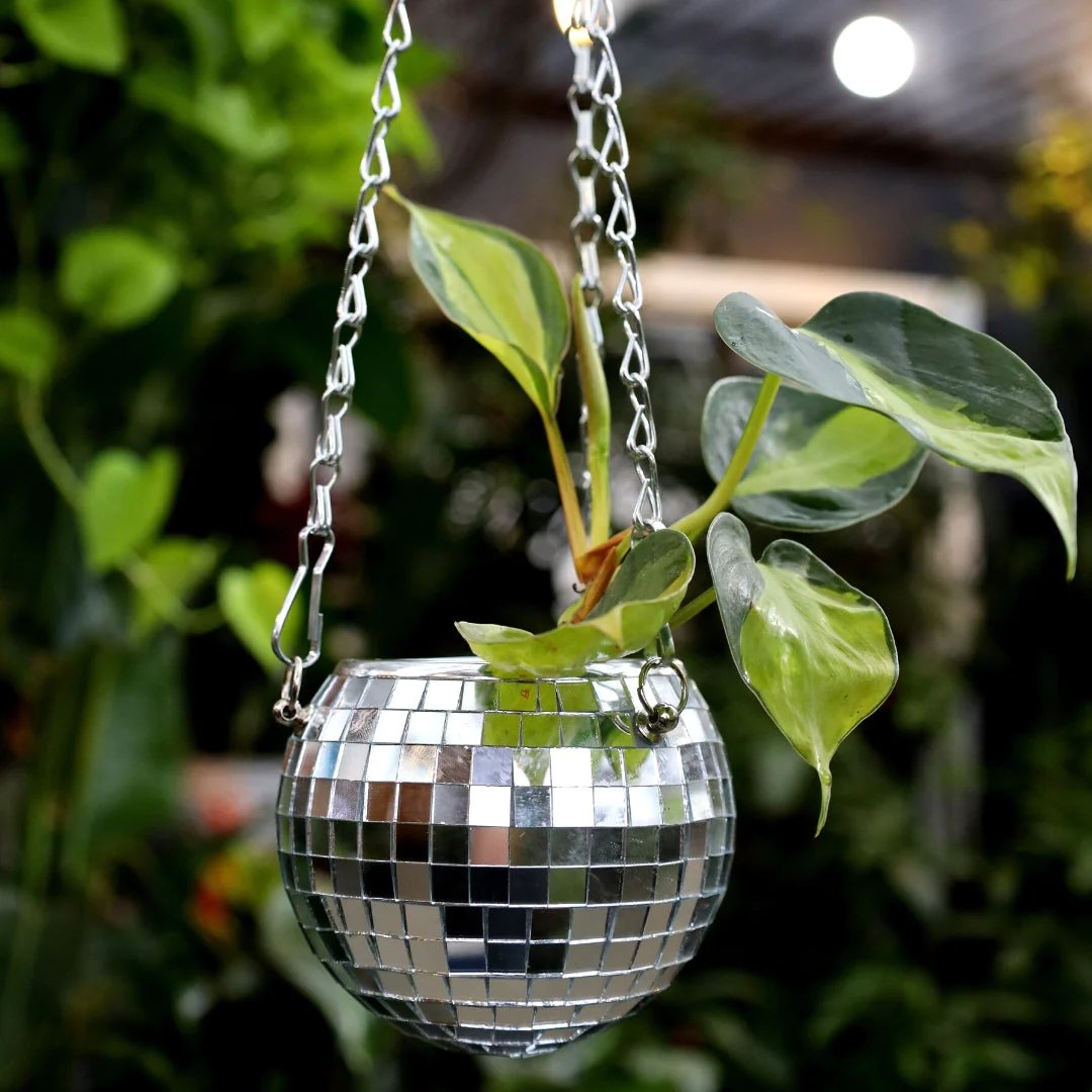 🎁TikTok Last Day Sale - 70% OFF🔥Disco Ball Planter