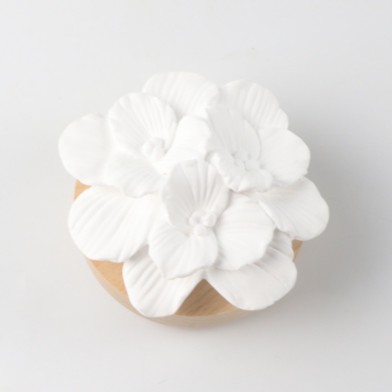 Car home aroma diffuser stone and wood base, succulent gypsum perfume essential oil evaporation decorative item